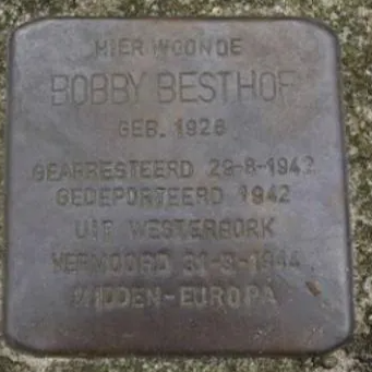 Struikelsteen voor Adolf Herman Besthof