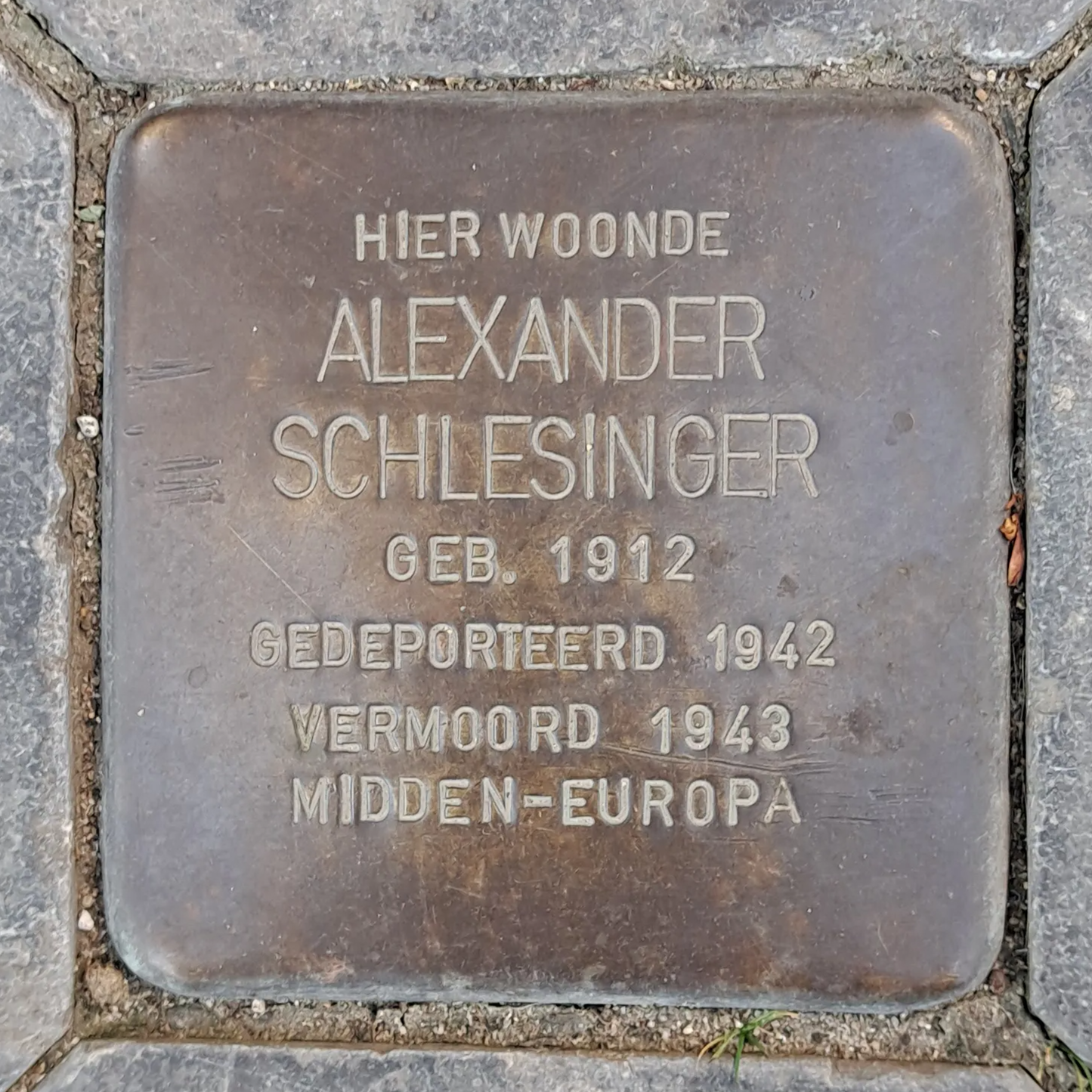 Struikelsteen voor Alexander Schlesinger