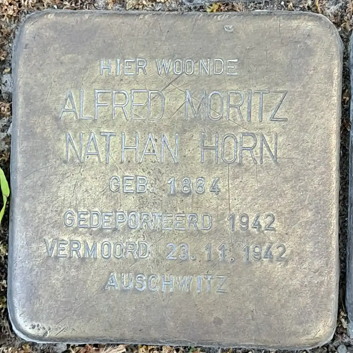 Struikelsteen voor Alfred Moritz Nathan Horn