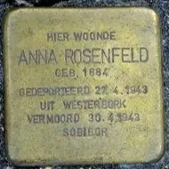 Struikelsteen voor Anna Rosenfeld