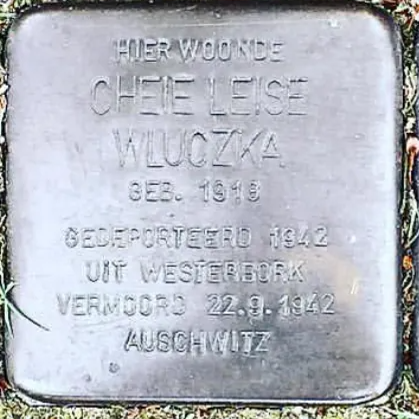 Struikelsteen voor Cheie Leise Wluczka