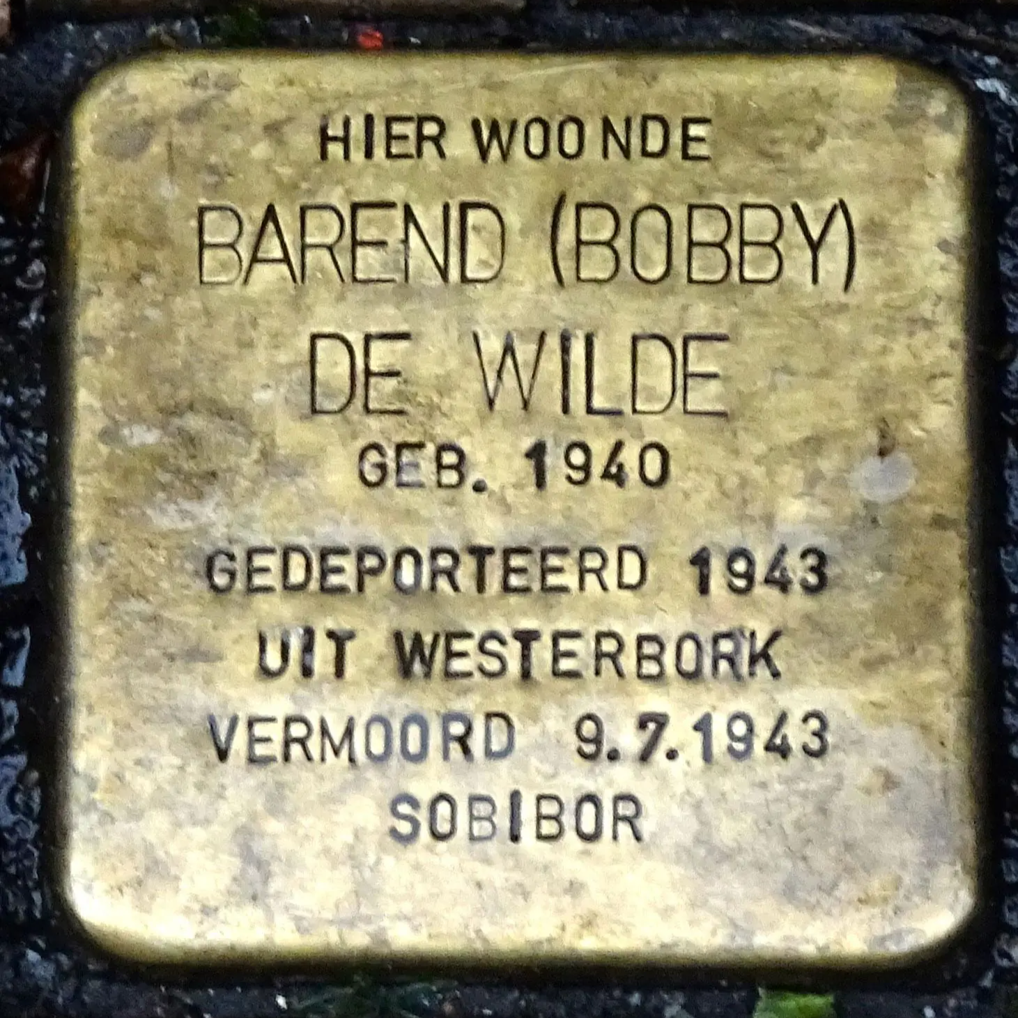Struikelsteen voor Barend de Wilde