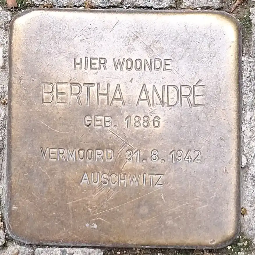 Struikelsteen voor Bertha André