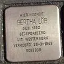 Struikelsteen voor Bertha Löb-Hirsch