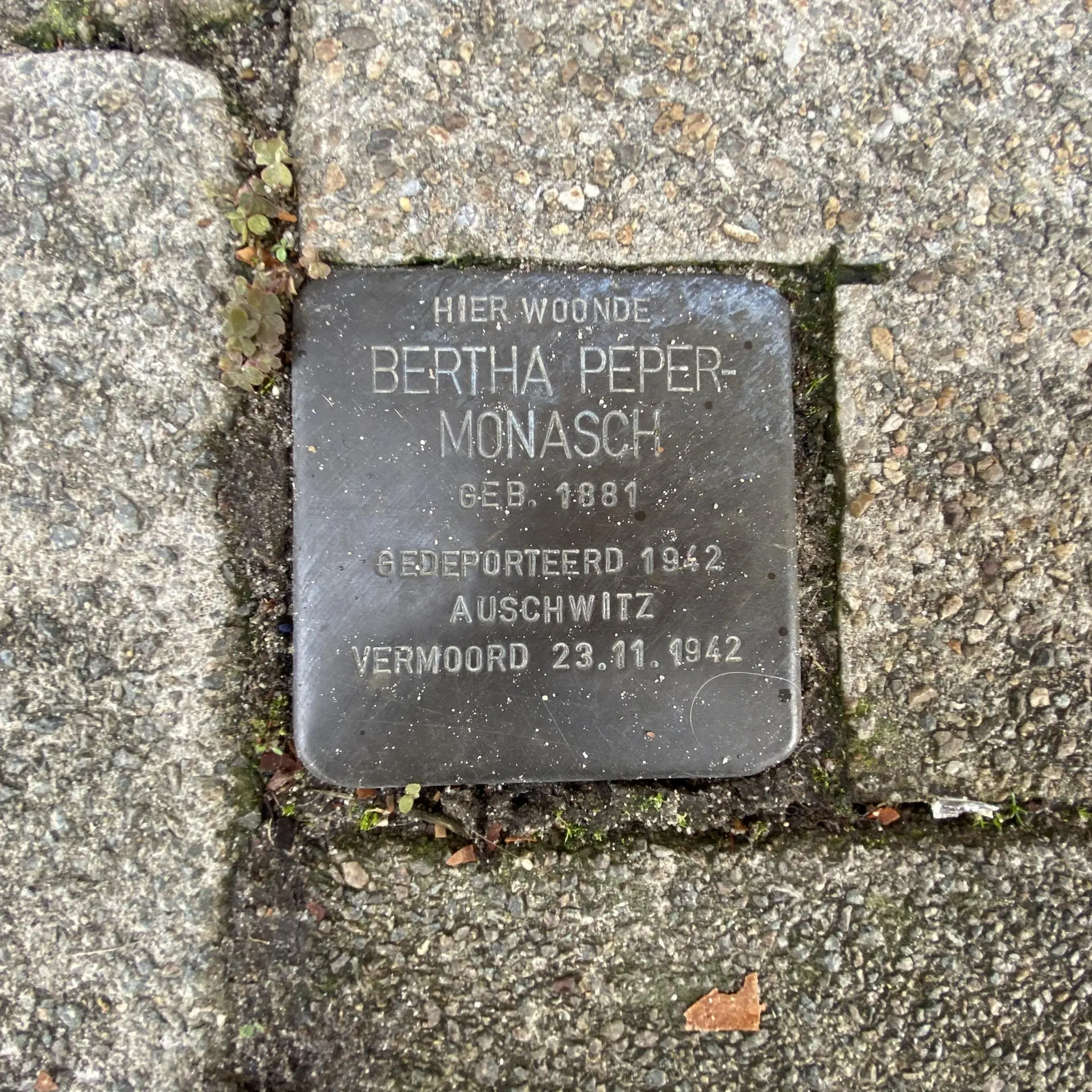 Struikelsteen voor Bertha Peper-Monasch