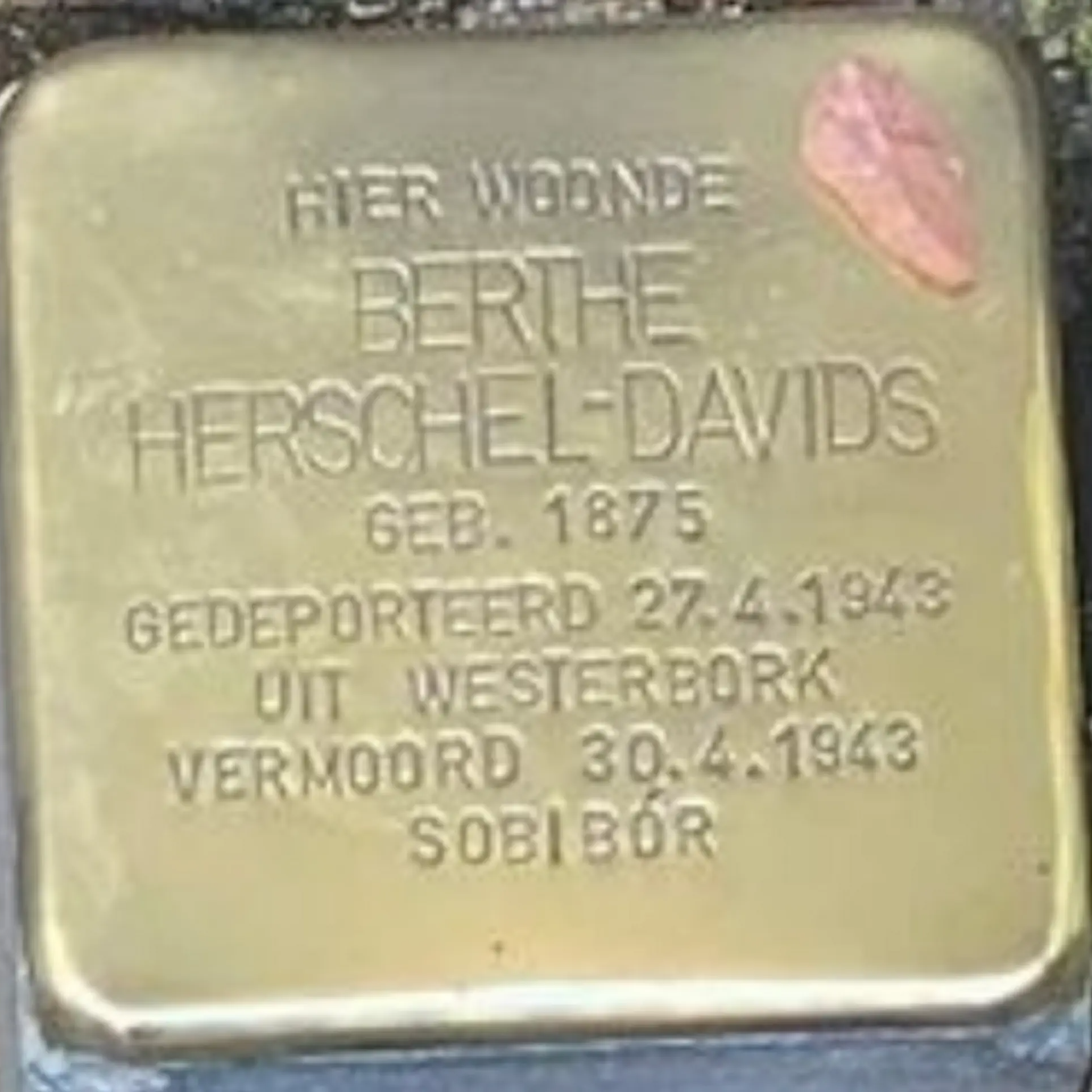 Struikelsteen voor Berthe Herschel-Davids