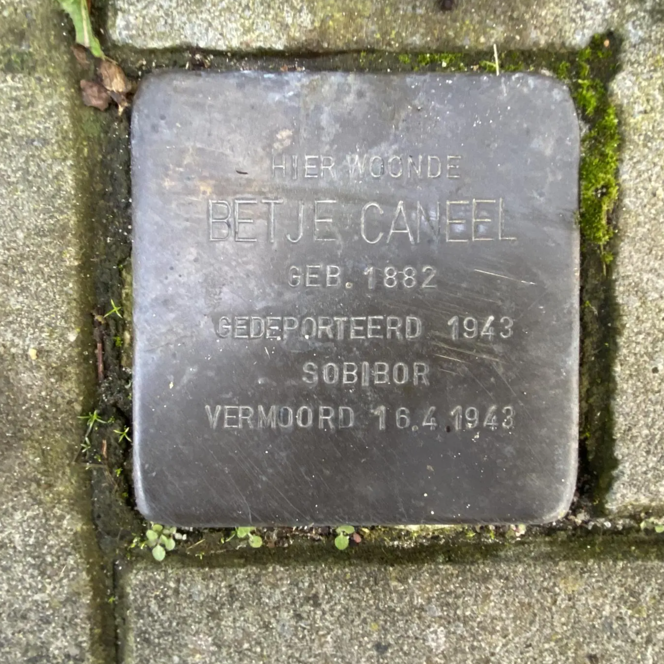 Struikelsteen voor Betje Caneel