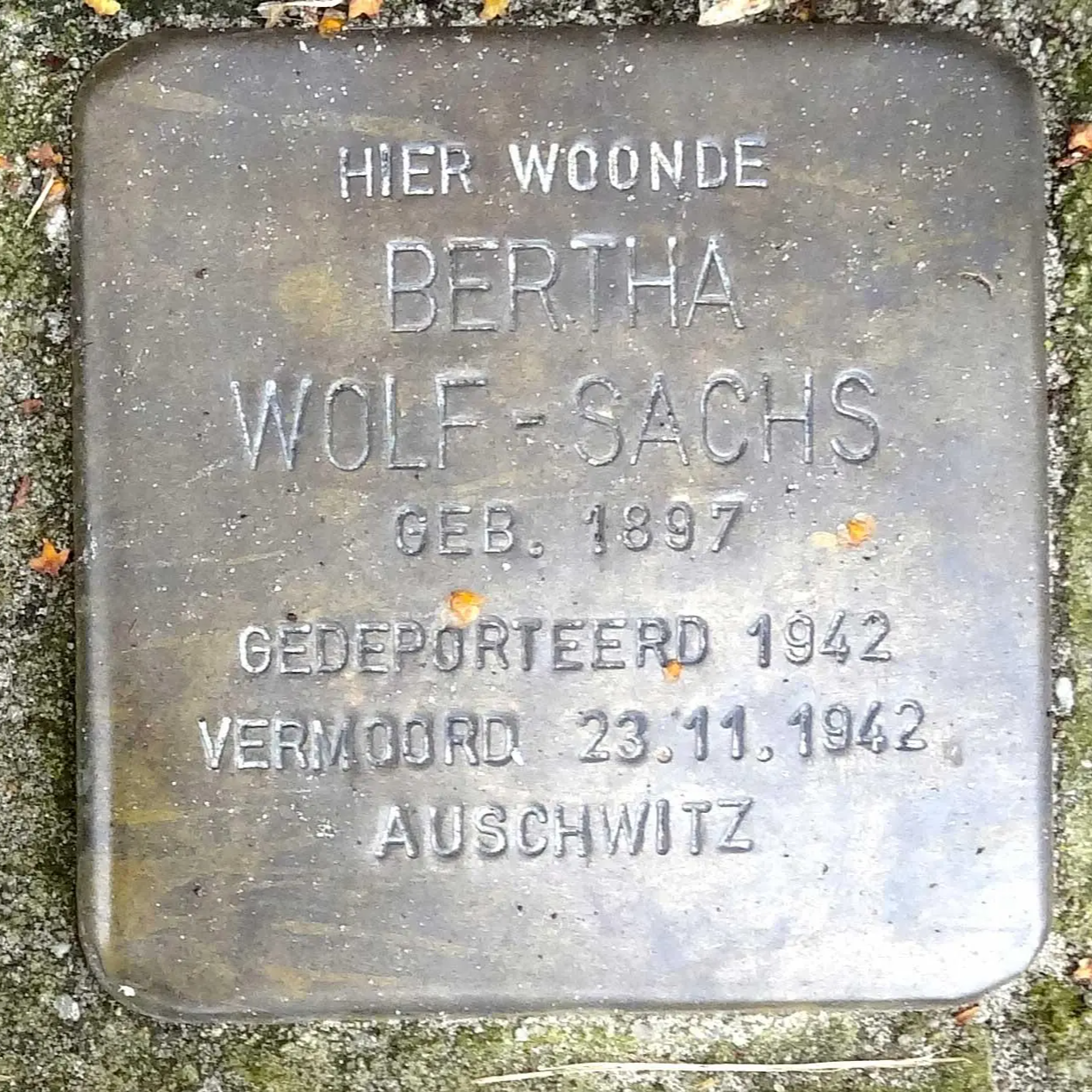 Struikelsteen voor Bertha Wolf-Sachs