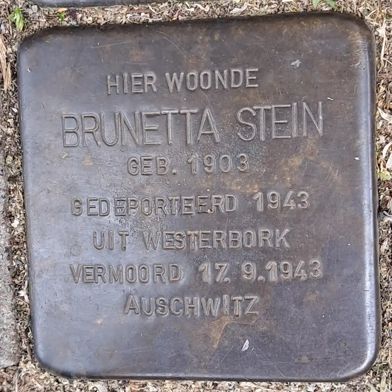 Struikelsteen voor Brunetta Stein