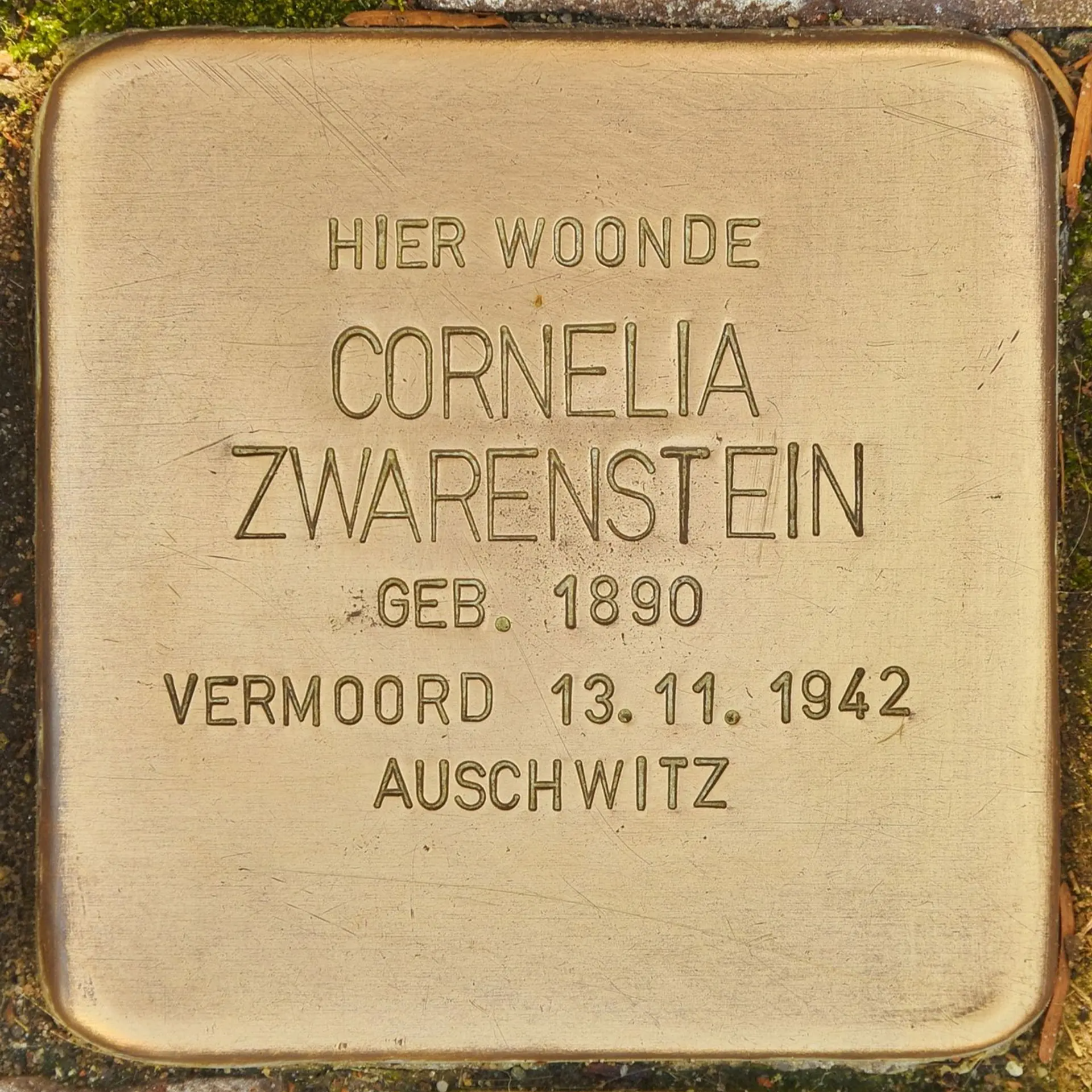 Struikelsteen voor Cornelia Zwarenstein
