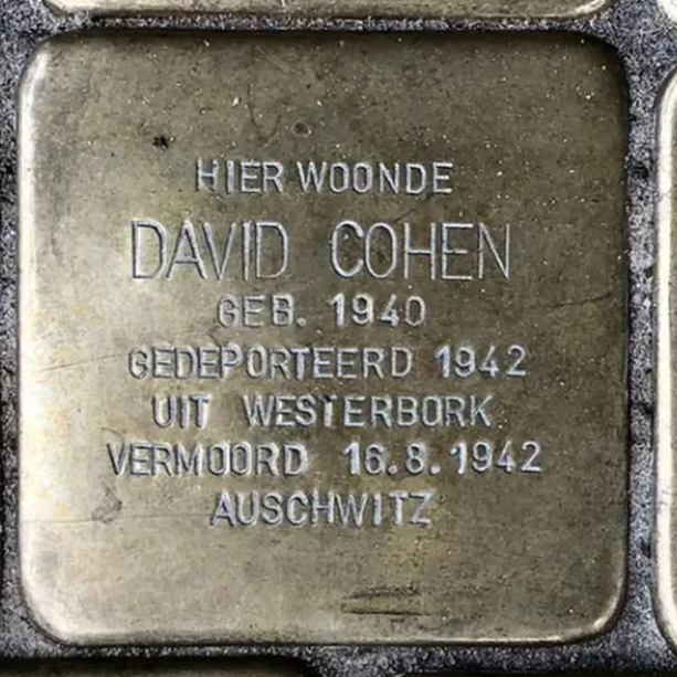 Struikelsteen voor David Cohen