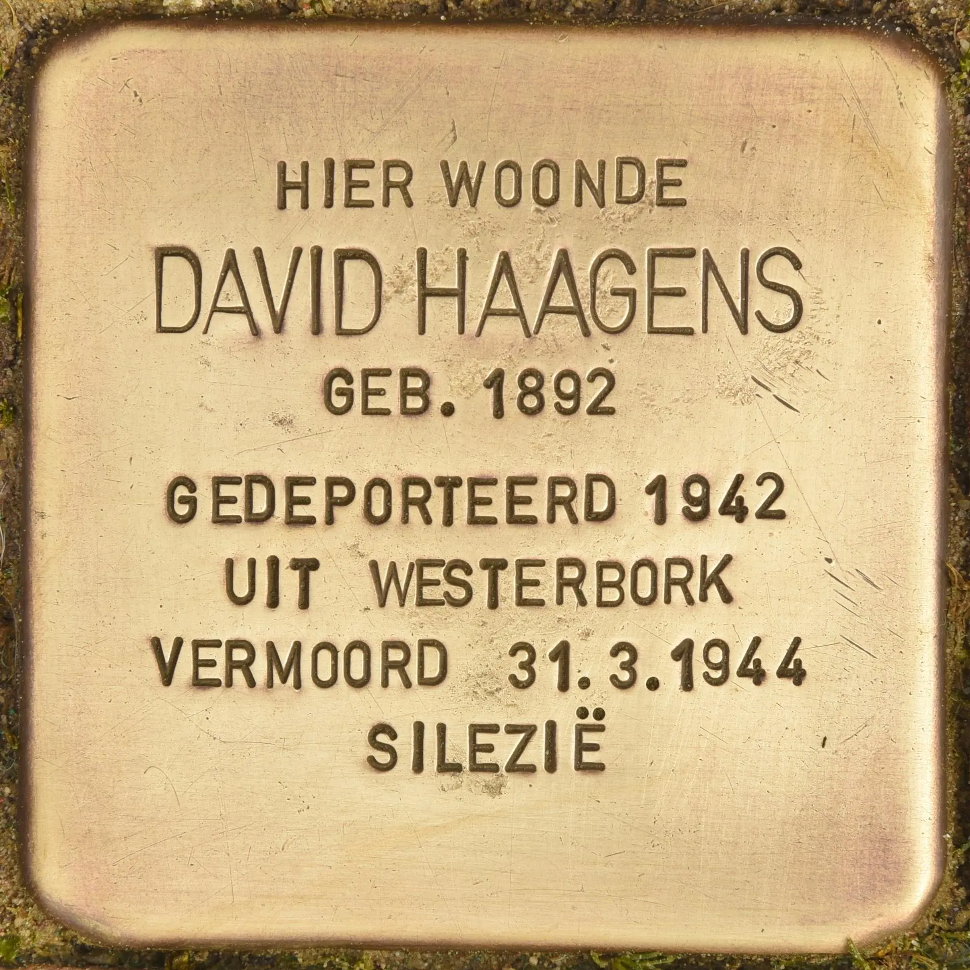 Struikelsteen voor David Haagens