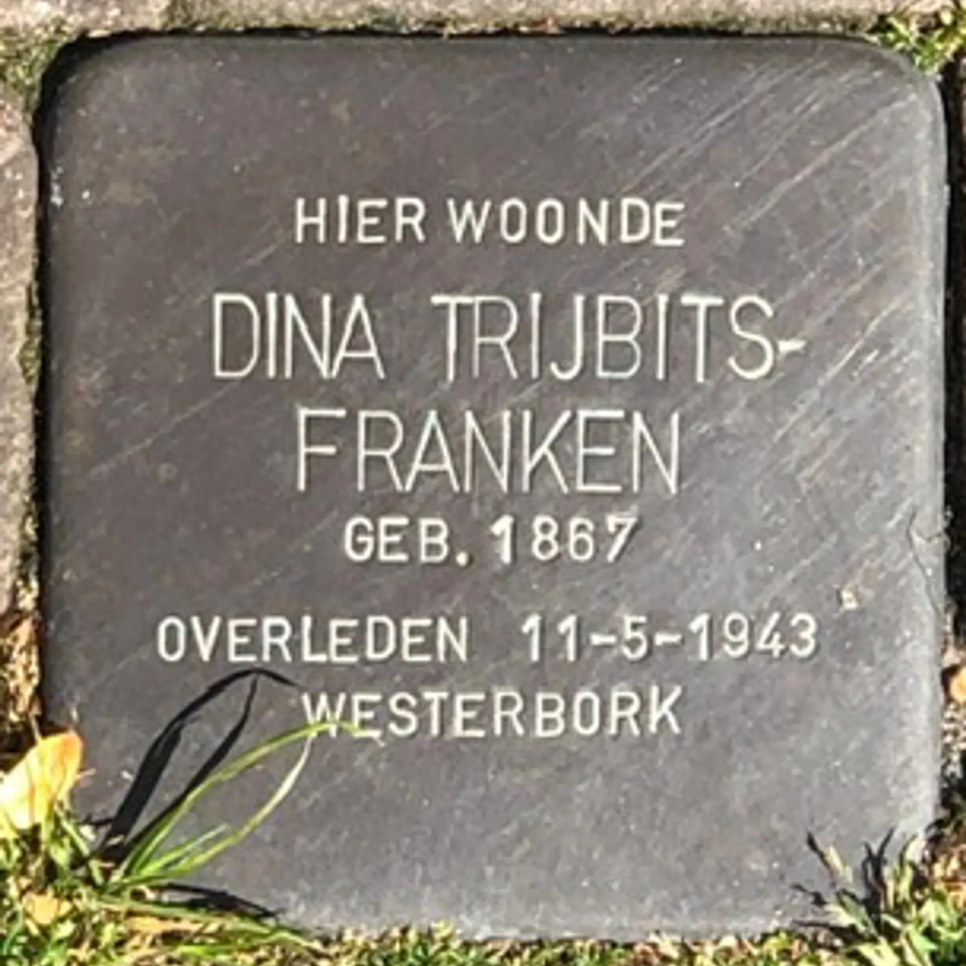 Struikelsteen voor Dina Trijbits-Franken