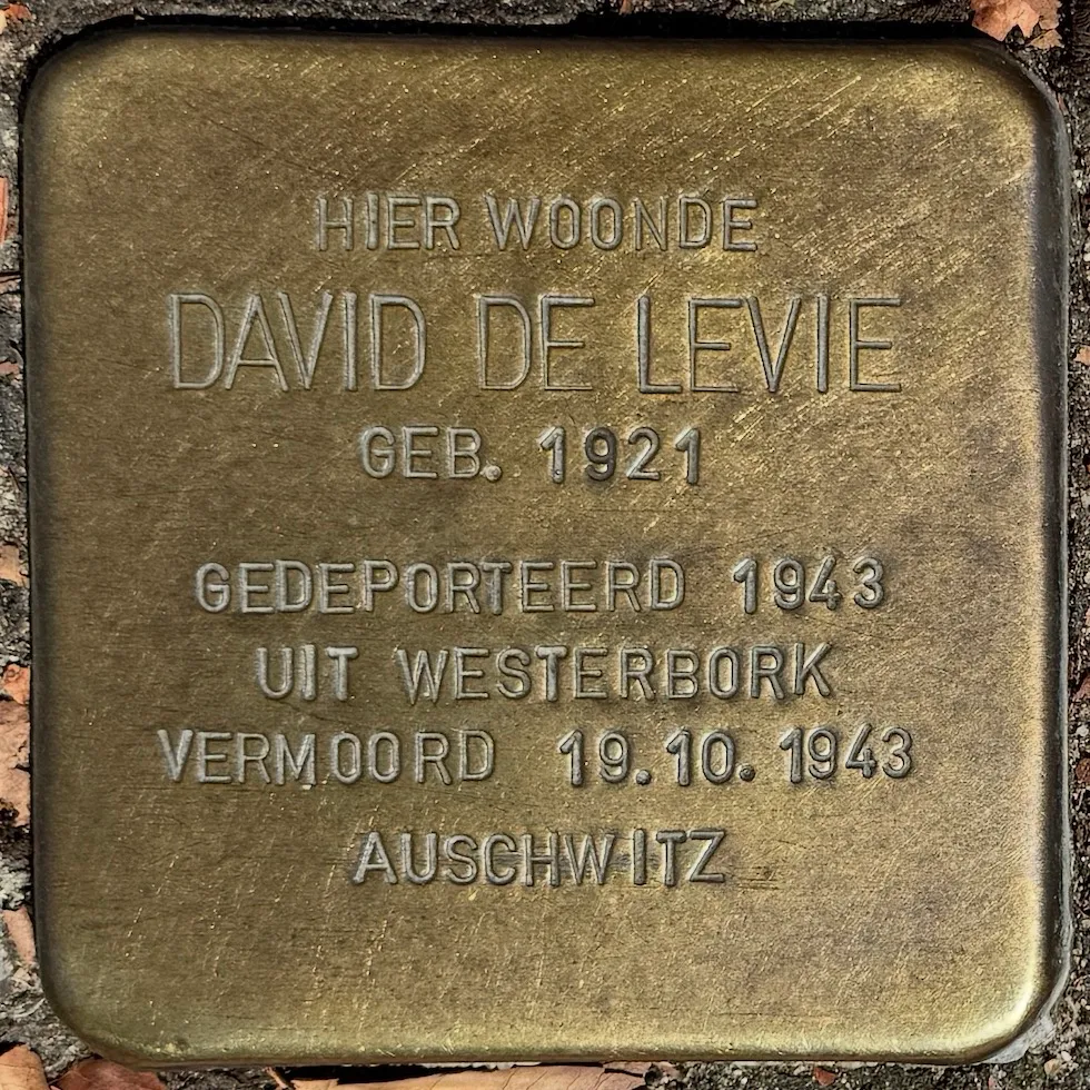 Struikelsteen voor David de Levie