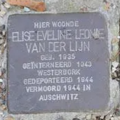 Struikelsteen voor Elise Eveline Leonie van der Lijn