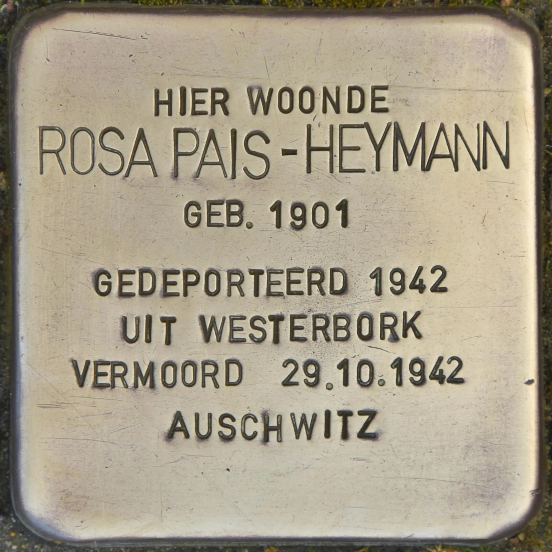 Struikelsteen voor Rosa Pais-Heymann