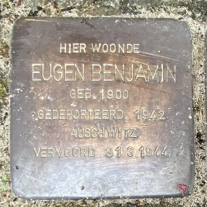Struikelsteen voor Eugen Benjamin
