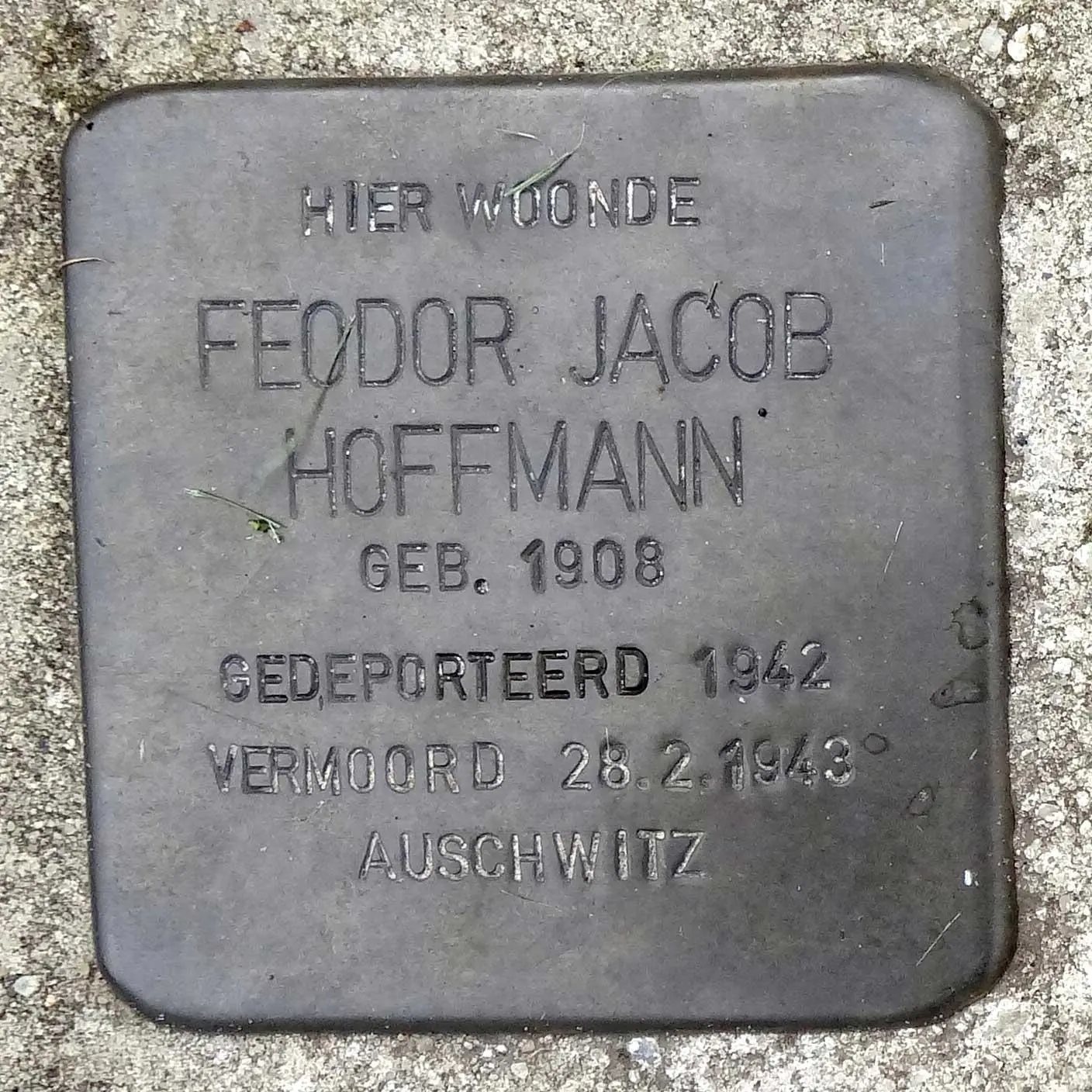 Struikelsteen voor Feodor Jakob Hoffmann
