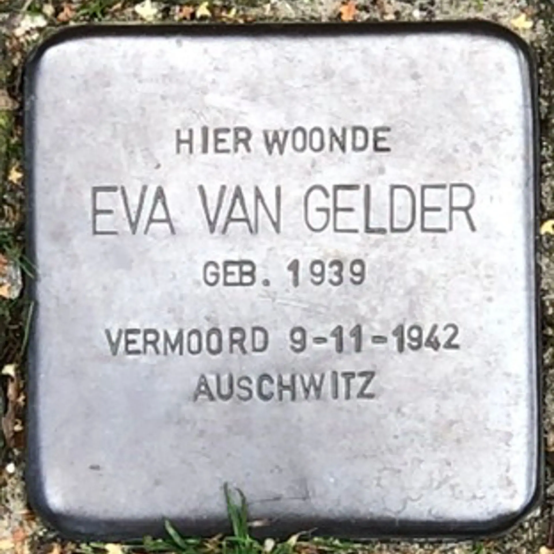 Struikelsteen voor Eva van Gelder