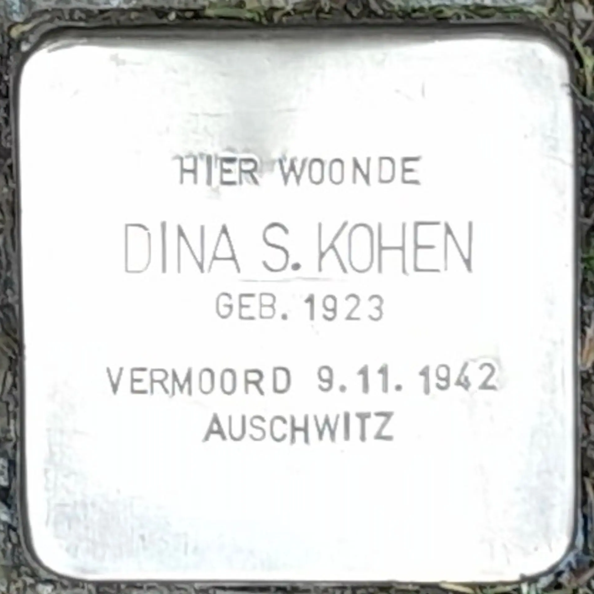 Struikelsteen voor Dina Sophia Kohen