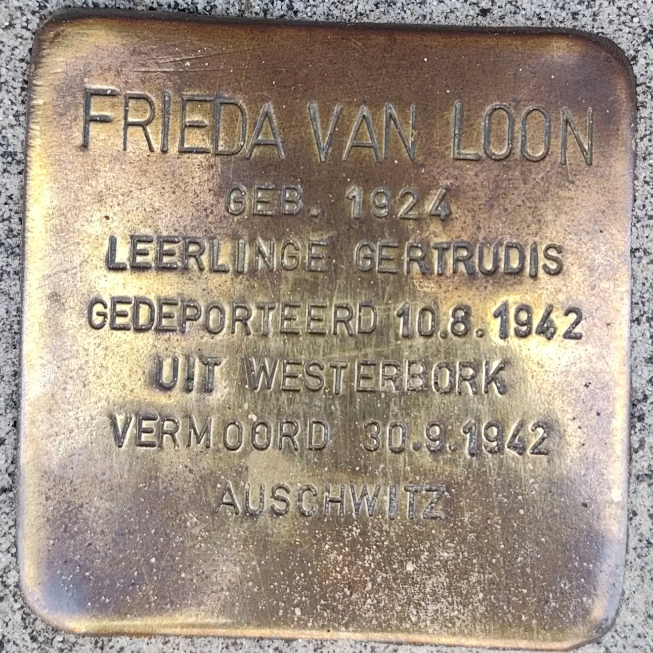 Struikelsteen voor Frieda van Loon