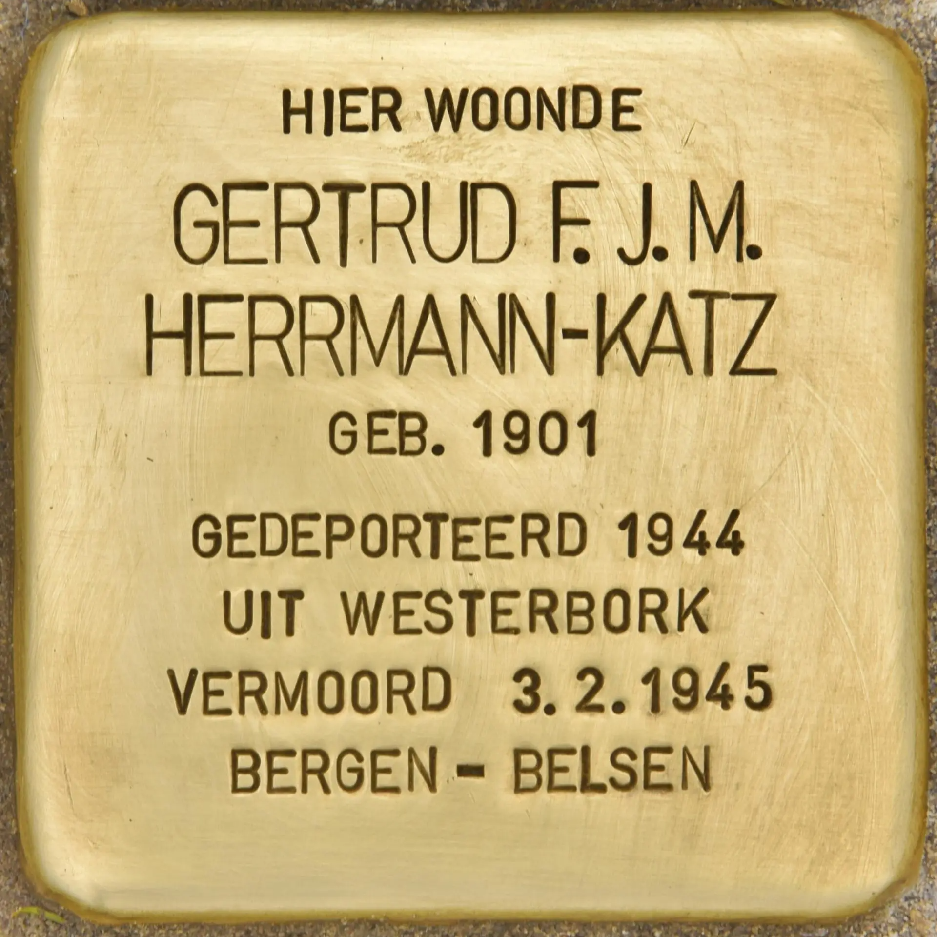 Struikelsteen voor Gertrud Franziska Josefine Marie Herrmann-Katz