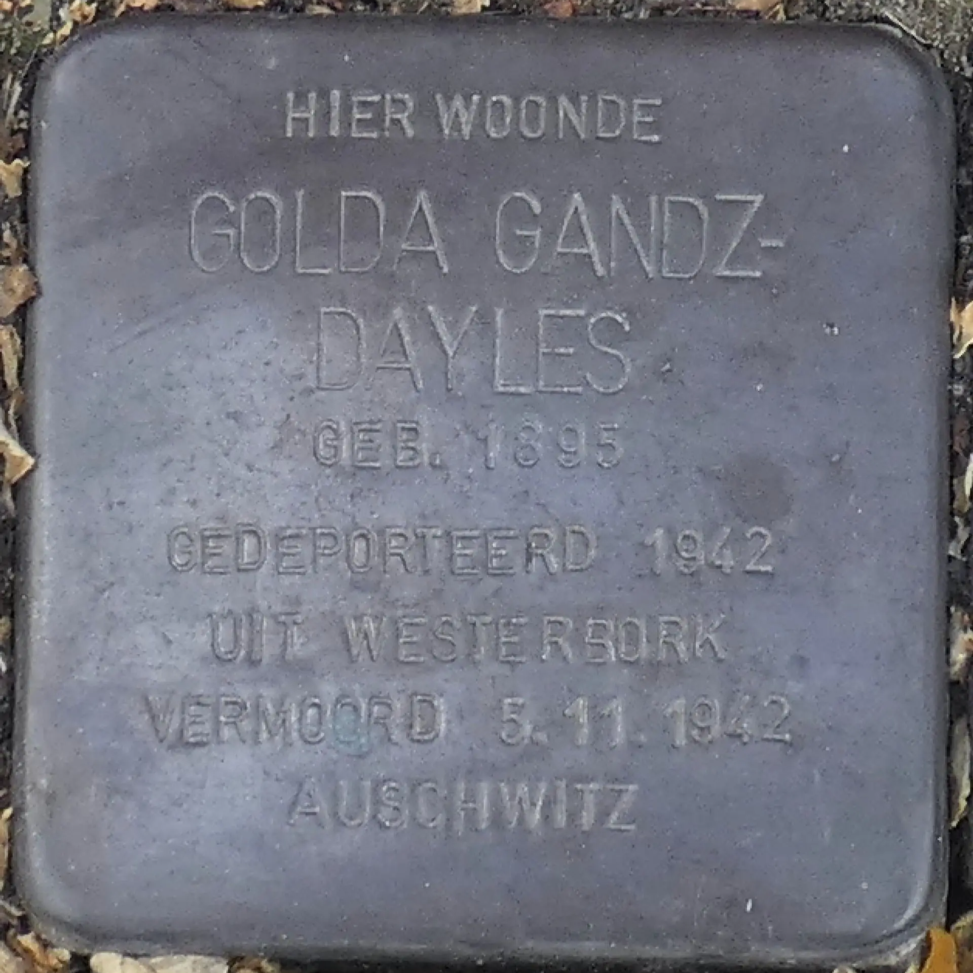 Struikelsteen voor Golda Gandz-Dayles
