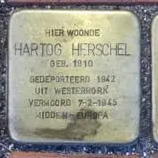 Struikelsteen voor Hartog Herschel
