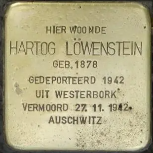 Struikelsteen voor Hartog Löwenstein