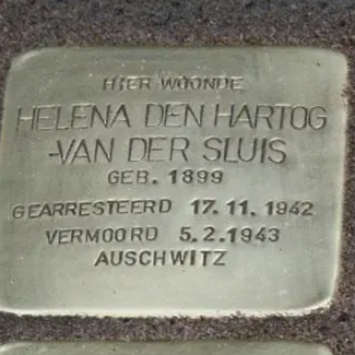 Struikelsteen voor Helena den Hartog-van der Sluis