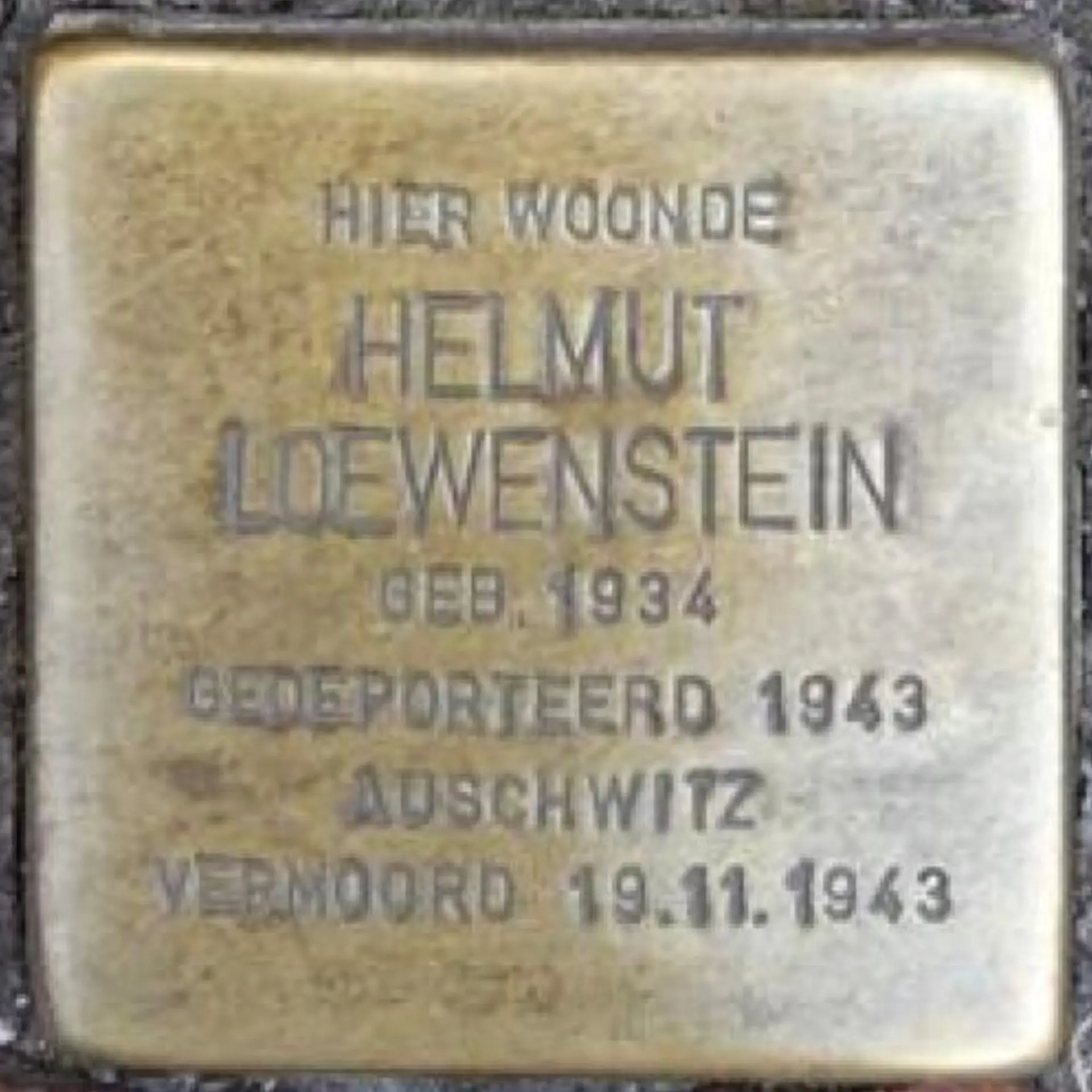 Struikelsteen voor Helmut Loewenstein