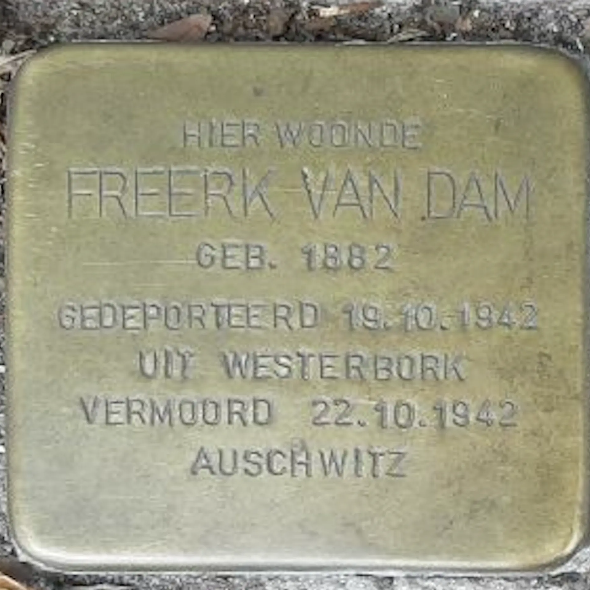 Struikelsteen voor Freerk van Dam