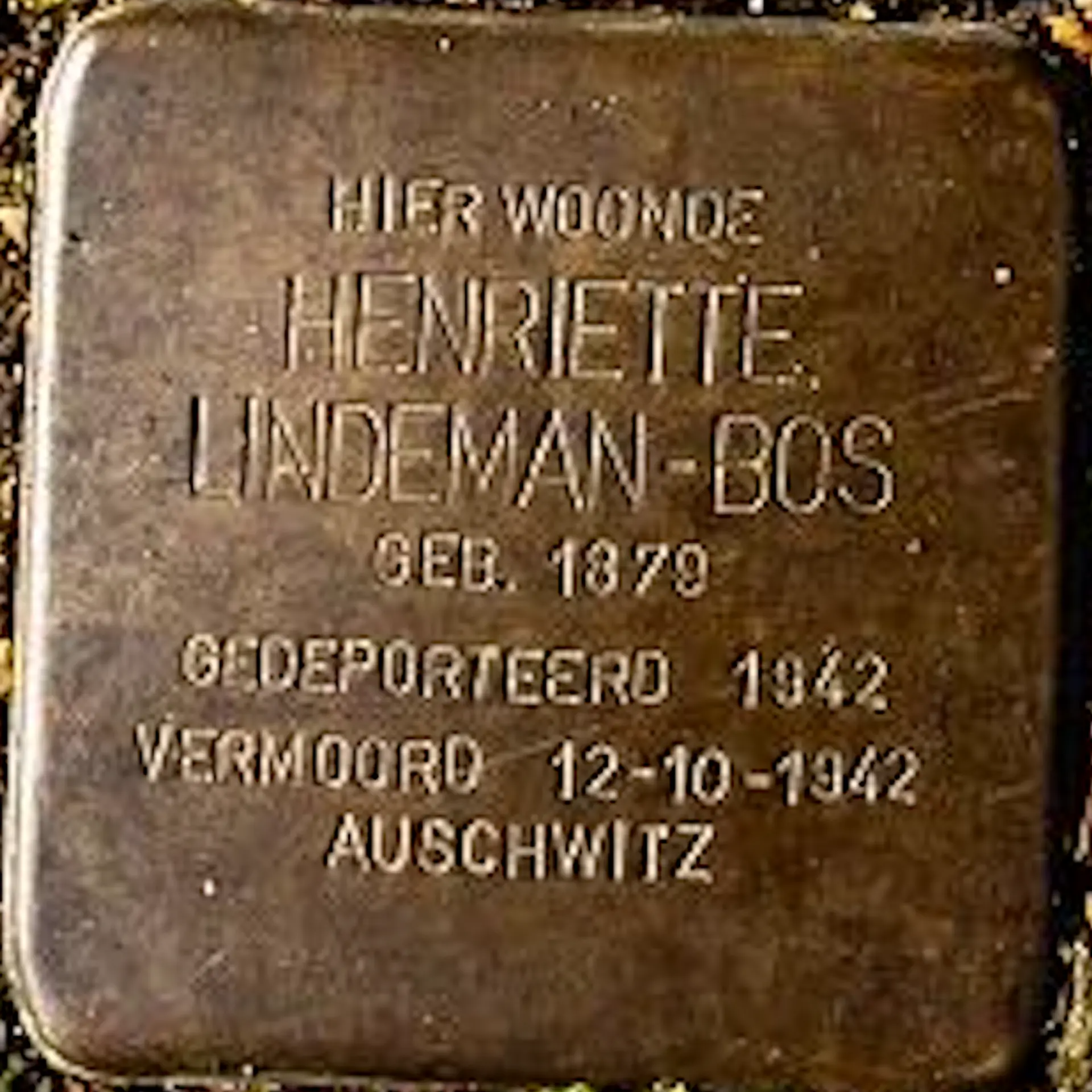 Struikelsteen voor Henriette Lindeman-Bos