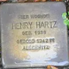 Struikelsteen voor Henry Hartz