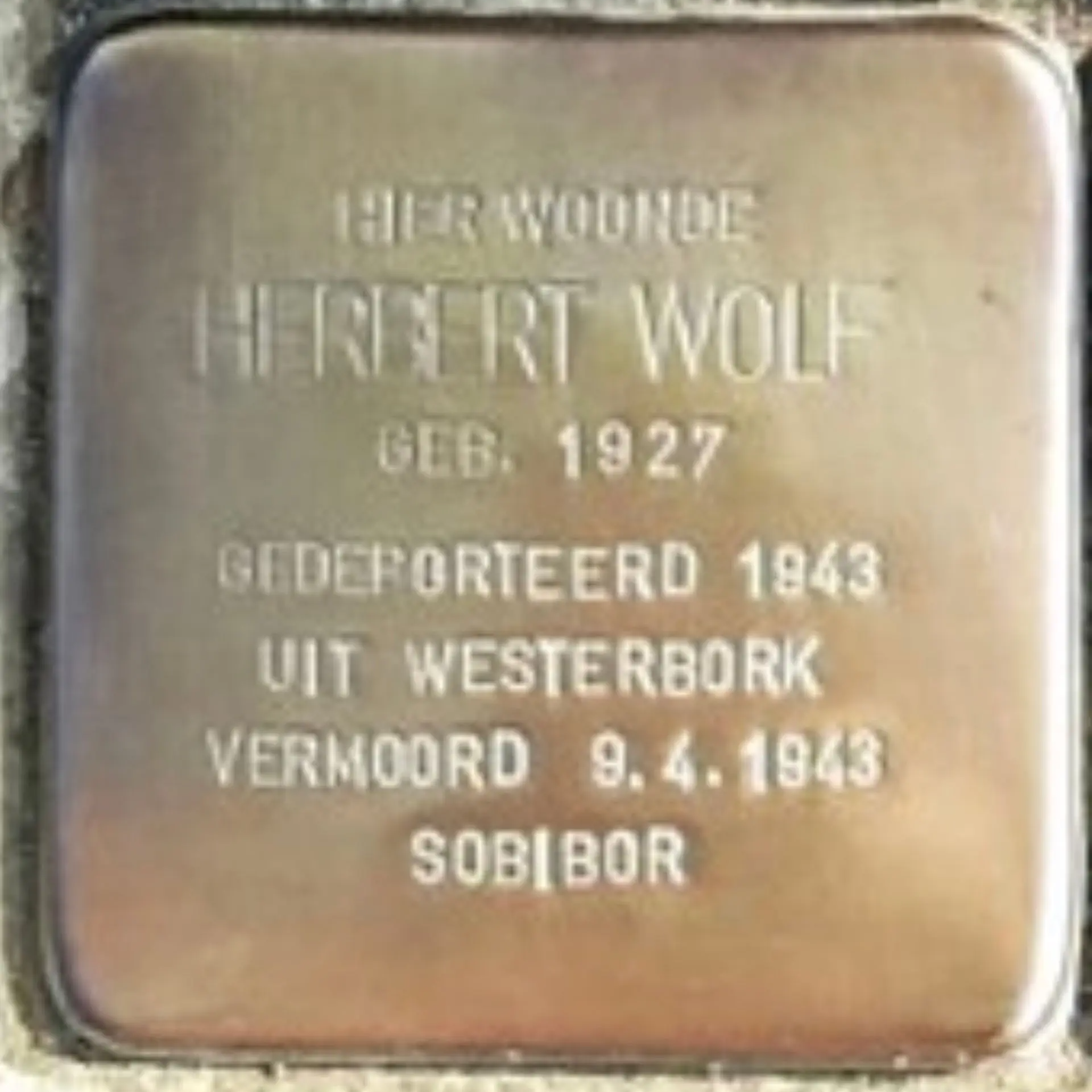 Struikelsteen voor Herbert Wolf