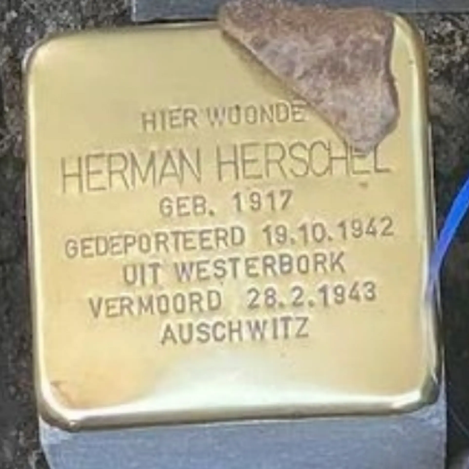 Struikelsteen voor Herman Herschel