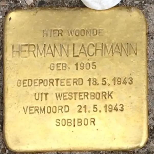 Struikelsteen voor Hermann Lachmann
