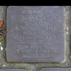 Struikelsteen voor Hermann Wolff
