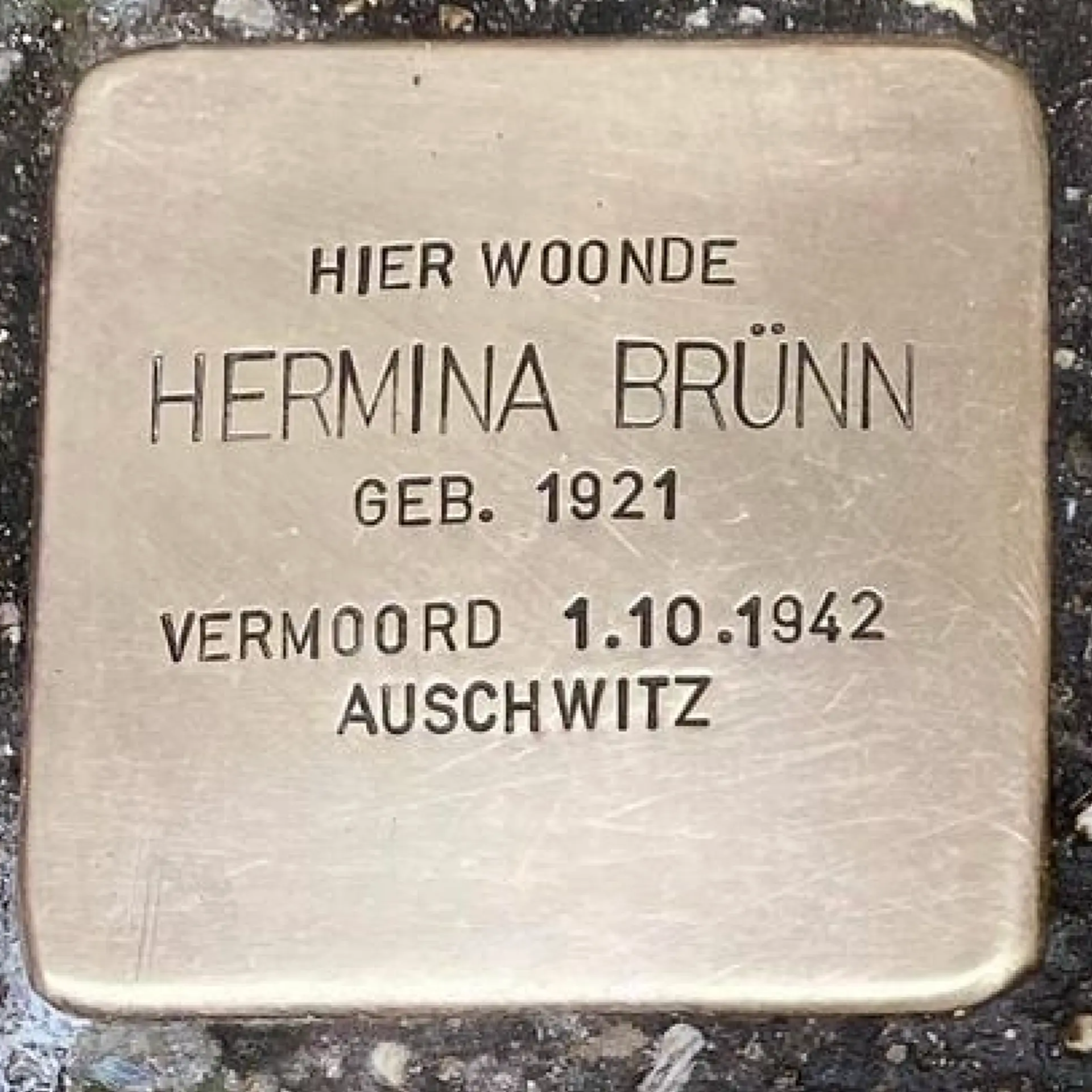 Struikelsteen voor Hermina Brünn