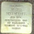 Struikelsteen voor Hester Mogendorff