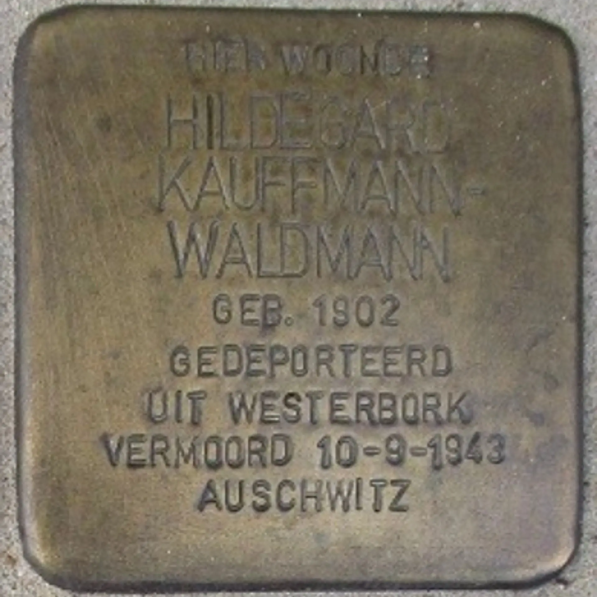 Struikelsteen voor Hildegard Kauffmann-Waldmann
