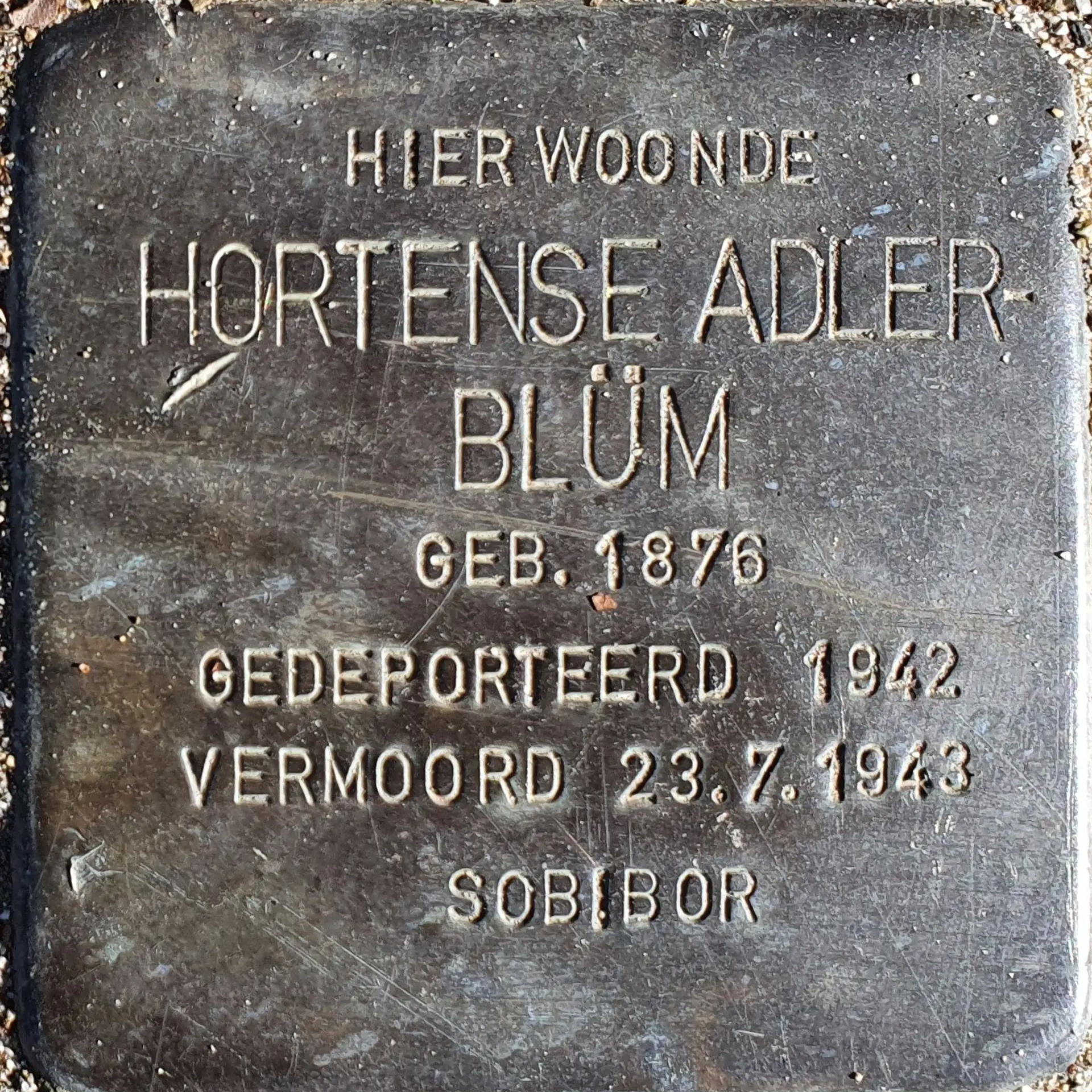 Struikelsteen voor Hortense Adler-Blüm