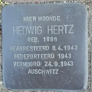 Struikelsteen voor Hedwig Hertz