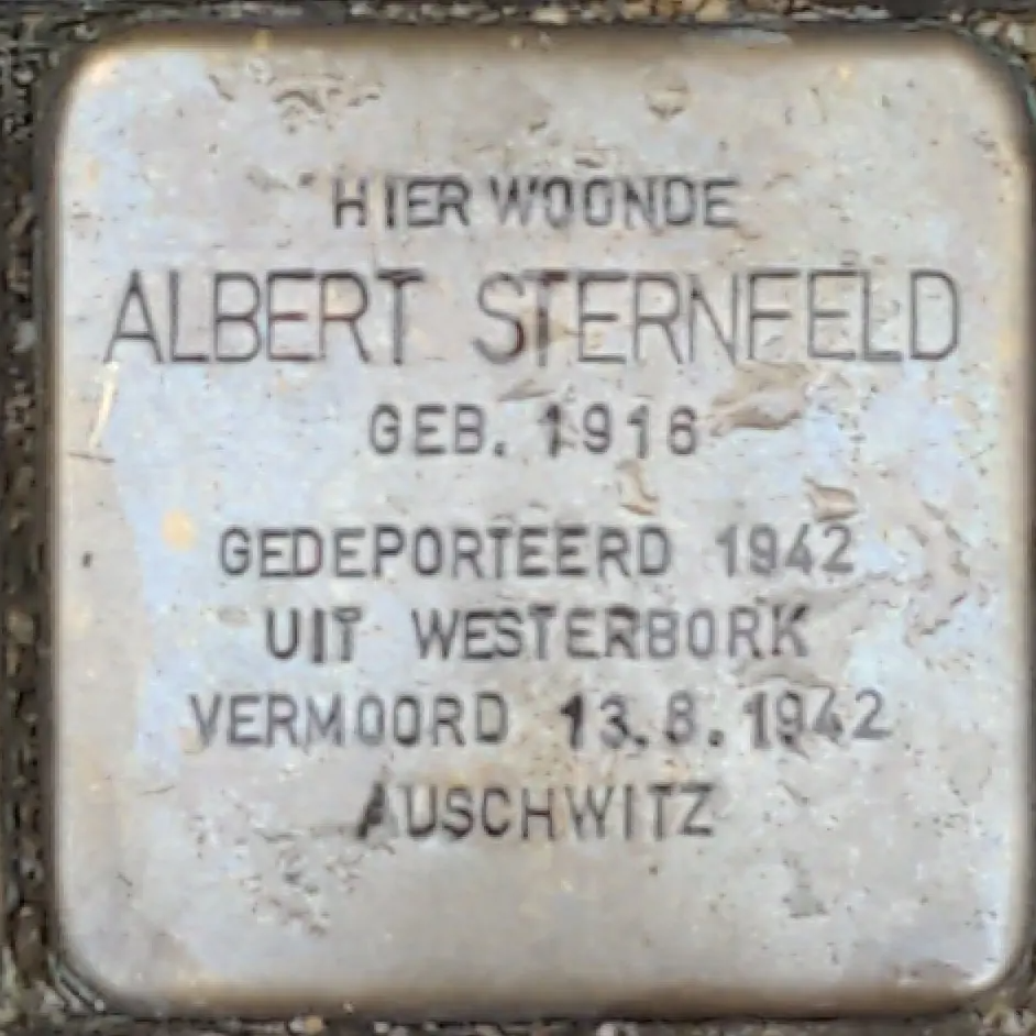 Struikelsteen voor Albert Sternfeld