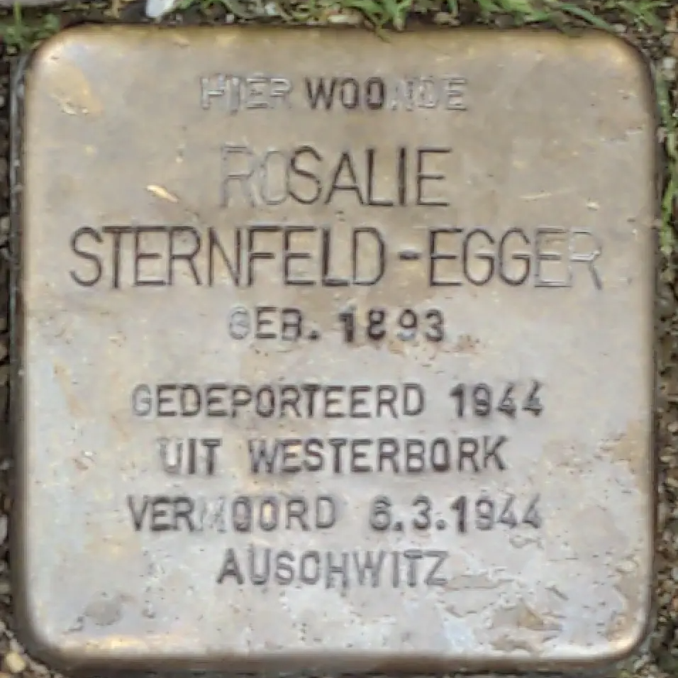Struikelsteen voor Rosalie Sternfeld-Egger