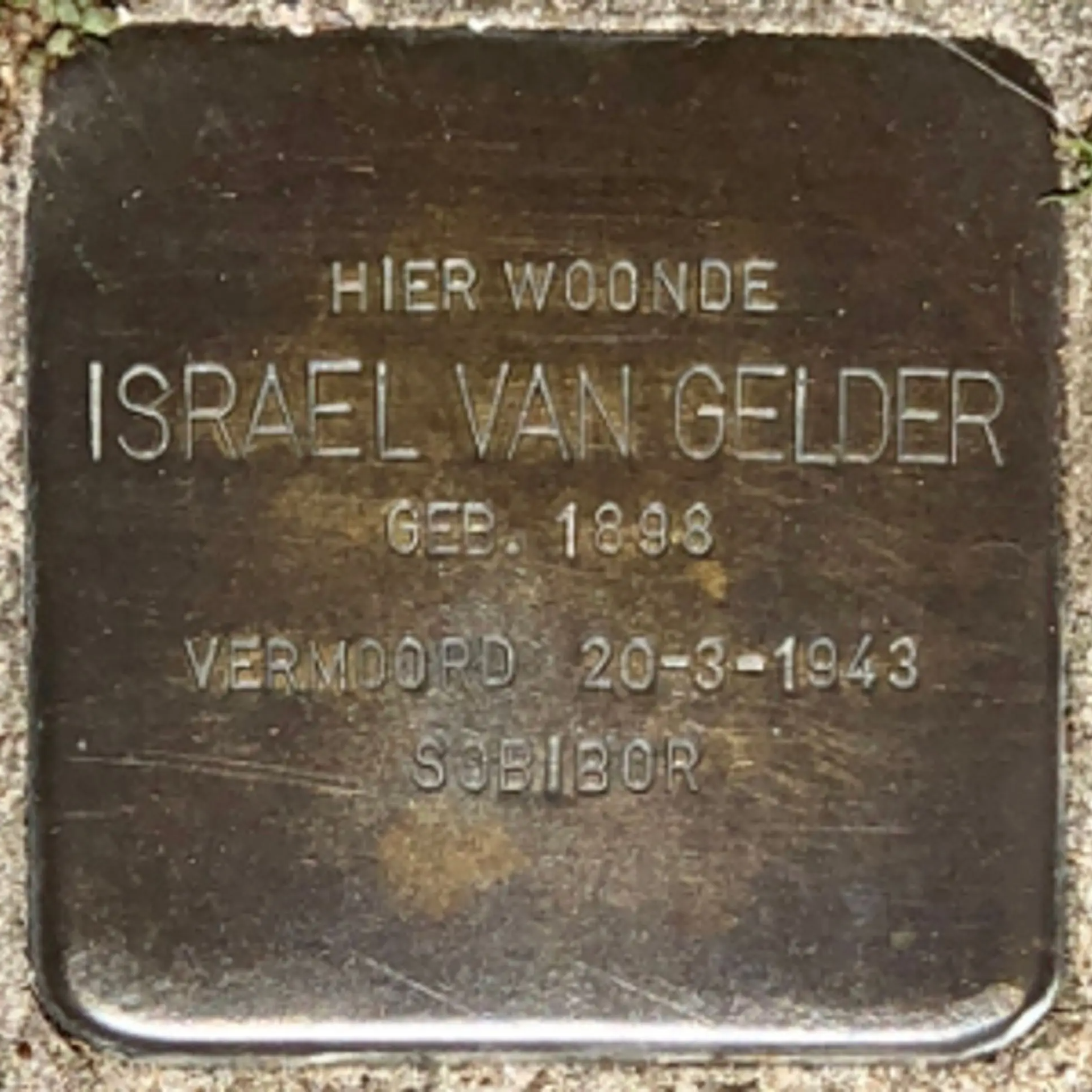 Struikelsteen voor Israël van Gelder