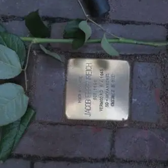 Struikelsteen voor Jacob Ehrenreich