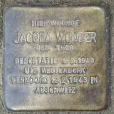 Placeholder