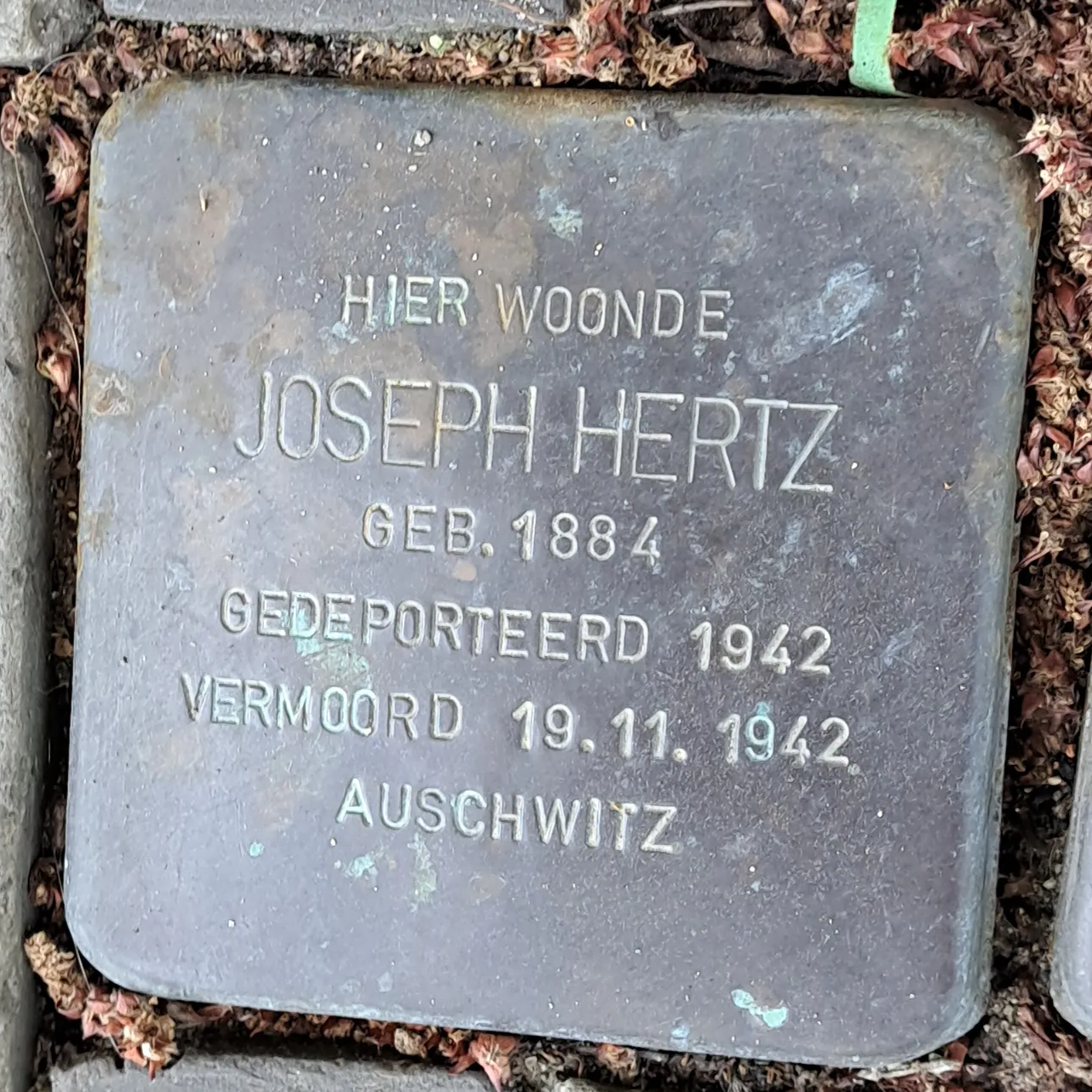 Struikelsteen voor Joseph Hertz