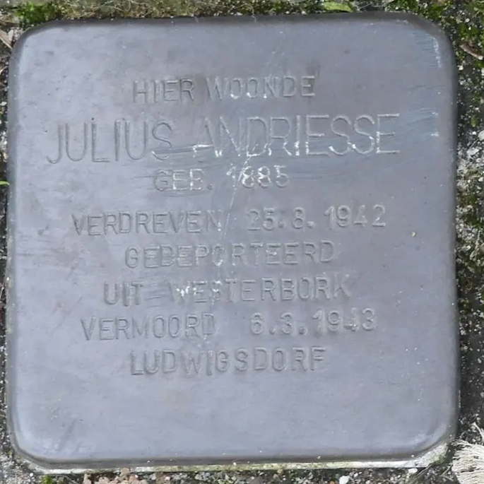 Struikelsteen voor Julius Andriesse